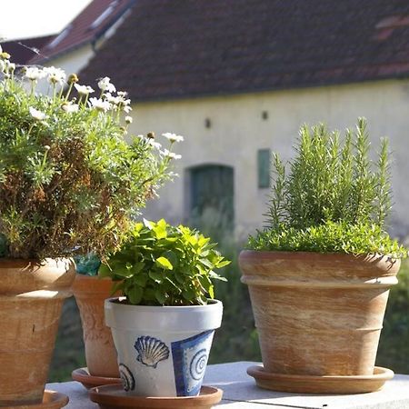 Ferienwohnung Sachsenberg Keine Monteure Hadersdorf am Kamp Εξωτερικό φωτογραφία
