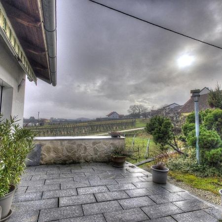 Ferienwohnung Sachsenberg Keine Monteure Hadersdorf am Kamp Εξωτερικό φωτογραφία